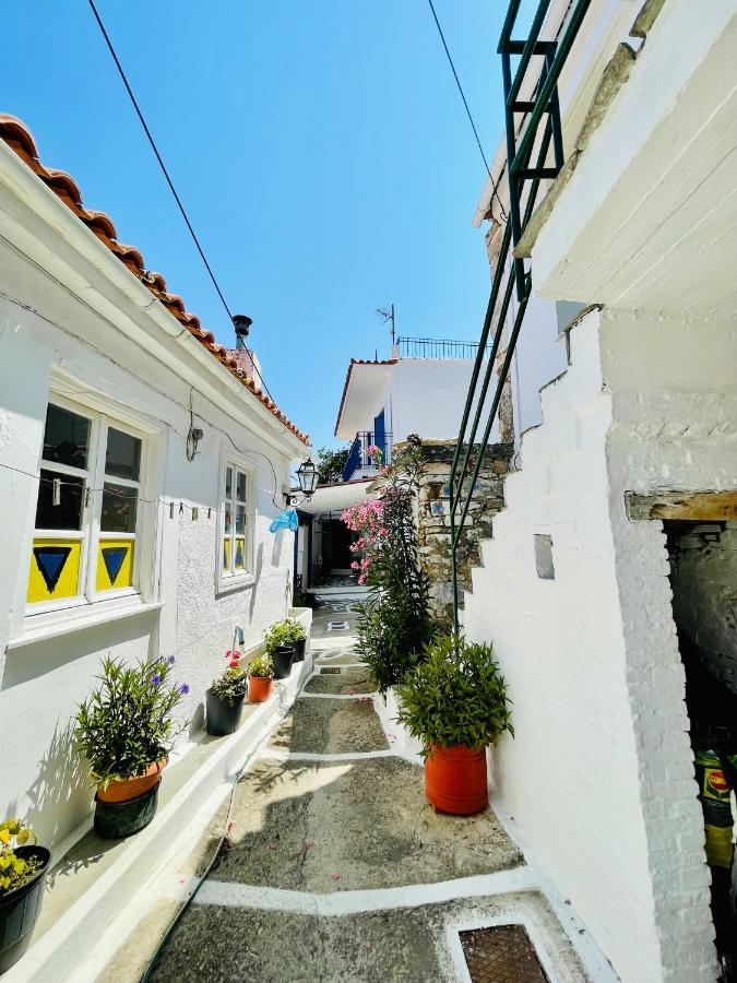 Άκρη Του Κόσμου Villa Ampelos  Exterior photo